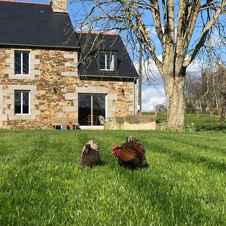 Maison Chic Proche Du Mont Saint Michel Marcilly  Eksteriør billede