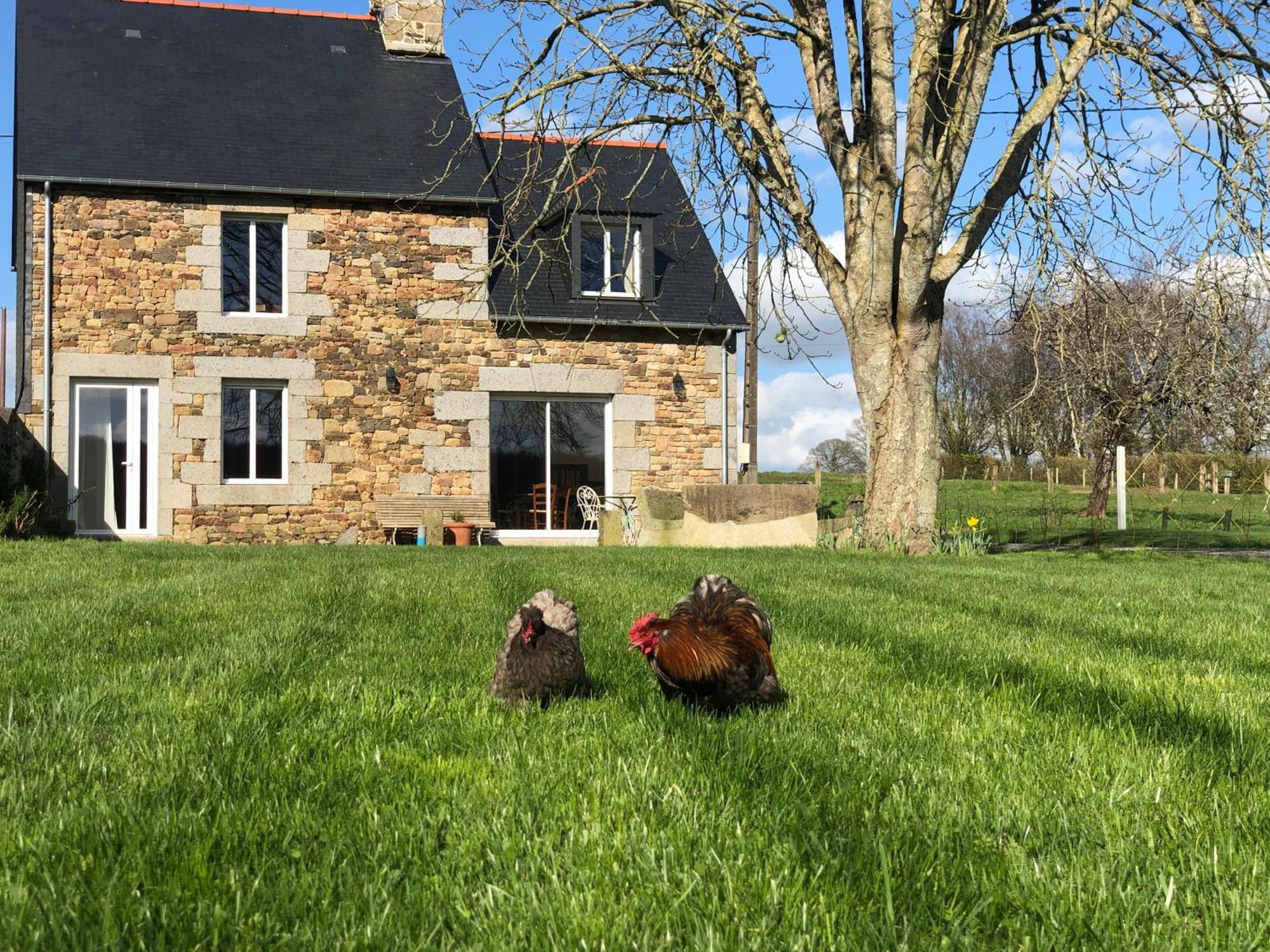 Maison Chic Proche Du Mont Saint Michel Marcilly  Eksteriør billede